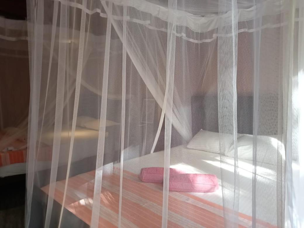 Piumi House Guest House Dikwella Ngoại thất bức ảnh