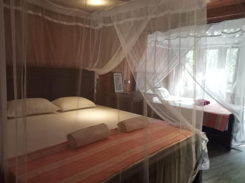 Piumi House Guest House Dikwella Ngoại thất bức ảnh
