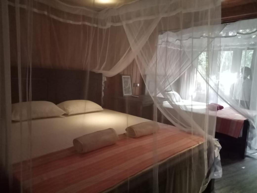 Piumi House Guest House Dikwella Ngoại thất bức ảnh