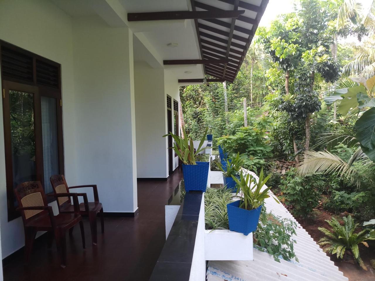 Piumi House Guest House Dikwella Ngoại thất bức ảnh