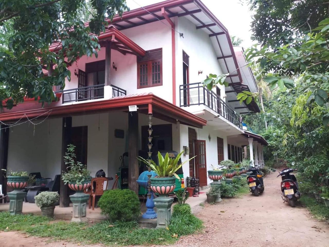 Piumi House Guest House Dikwella Ngoại thất bức ảnh